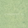 Натуральный линолеум Armstrong Marmorette LPX 121-130 (2 мм) — купить в Москве в интернет-магазине Snabimport