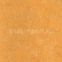 Натуральный линолеум Armstrong Marmorette LPX 121-173 (2 мм) — купить в Москве в интернет-магазине Snabimport