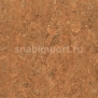 Натуральный линолеум Armstrong Linorette PUR 127-025 — купить в Москве в интернет-магазине Snabimport