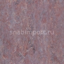 Натуральный линолеум Armstrong Linorette PUR 127-050