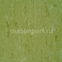 Натуральный линолеум Armstrong Linodur LPX 151-011 — купить в Москве в интернет-магазине Snabimport