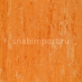 Натуральный линолеум Armstrong Linodur LPX 151-072 — купить в Москве в интернет-магазине Snabimport