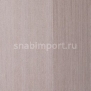 Виниловые обои BN International Suwide Firenze BN 15620 коричневый — купить в Москве в интернет-магазине Snabimport