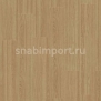 Дизайн плитка Armstrong Scala Cruise PUR 20003-160 коричневый — купить в Москве в интернет-магазине Snabimport