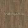Дизайн плитка Armstrong Scala Cruise PUR 20015-160 коричневый — купить в Москве в интернет-магазине Snabimport