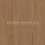 Дизайн плитка Armstrong Scala Cruise PUR 20065-160 коричневый — купить в Москве в интернет-магазине Snabimport