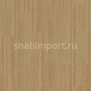 Дизайн плитка Armstrong Scala 30 PUR 23003-160 коричневый — купить в Москве в интернет-магазине Snabimport