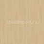 Дизайн плитка Armstrong Scala 30 PUR 23037-141 Бежевый — купить в Москве в интернет-магазине Snabimport