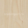 Дизайн плитка Armstrong Scala 30 PUR 23073-149 Бежевый — купить в Москве в интернет-магазине Snabimport