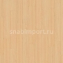 Дизайн плитка Armstrong Scala 100 PUR Wood 25037-141 Бежевый — купить в Москве в интернет-магазине Snabimport