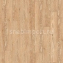 Дизайн плитка Armstrong Scala 100 PUR Wood 25300-165 Бежевый — купить в Москве в интернет-магазине Snabimport