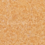 Токорассеивающий линолеум Tarkett IQ Granit SD 3096721