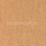 Коммерческий линолеум Tarkett IQ Optima 3242831 — купить в Москве в интернет-магазине Snabimport