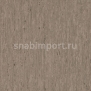 Коммерческий линолеум Tarkett IQ Optima 3242899 — купить в Москве в интернет-магазине Snabimport