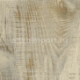 Флокированная ковровая плитка Vertigo 3319 Show Pine