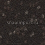 Иглопробивной ковролин Finett Vision Focus 405567 коричневый — купить в Москве в интернет-магазине Snabimport