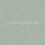 Полукоммерческий линолеум Grabo Top Extra 4564_295 — купить в Москве в интернет-магазине Snabimport