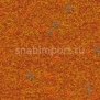Иглопробивной ковролин Finett Vision Focus 505565 оранжевый — купить в Москве в интернет-магазине Snabimport