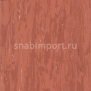 Коммерческий линолеум Armstrong Solid PUR 521-010 — купить в Москве в интернет-магазине Snabimport