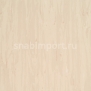 Коммерческий линолеум Armstrong Solid PUR 521-044 — купить в Москве в интернет-магазине Snabimport
