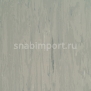 Коммерческий линолеум Armstrong Solid PUR 521-056 — купить в Москве в интернет-магазине Snabimport