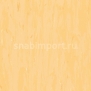 Коммерческий линолеум Armstrong Solid PUR 521-070 — купить в Москве в интернет-магазине Snabimport