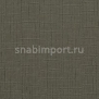 Виниловые обои BN International Suwide Capriccio BN 5493 коричневый — купить в Москве в интернет-магазине Snabimport
