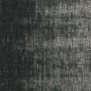 Ковровое покрытие Shaw MODERN EDIT Inherit 5A229-64505 чёрный — купить в Москве в интернет-магазине Snabimport
