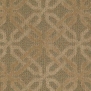 Ковровое покрытие Shaw NEW SIMPLICITY Expressive 60752-50220 коричневый — купить в Москве в интернет-магазине Snabimport