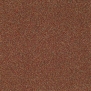 Ковровое покрытие Shaw VIRTUAL SPACES Social media 60761-61765 коричневый — купить в Москве в интернет-магазине Snabimport