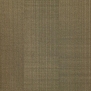 Ковровое покрытие Shaw COLLECTIVE TIME Dawn 60764-89761 коричневый — купить в Москве в интернет-магазине Snabimport
