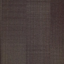 Ковровое покрытие Shaw COLLECTIVE TIME Dawn 60764-89906 коричневый — купить в Москве в интернет-магазине Snabimport