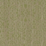 Ковровое покрытие Shaw TRACERY Screen 60771-69325 зеленый — купить в Москве в интернет-магазине Snabimport