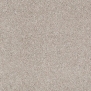 Ковровое покрытие Shaw QUITE CANVAS Imagery 60774-00112 Серый — купить в Москве в интернет-магазине Snabimport