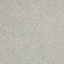 Ковровое покрытие Shaw QUITE CANVAS Imagery 60774-00512 Серый — купить в Москве в интернет-магазине Snabimport