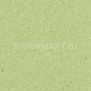 Коммерческий линолеум Armstrong Favorite R10 PUR 710-033 — купить в Москве в интернет-магазине Snabimport