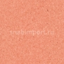 Коммерческий линолеум Armstrong Favorite PUR 726-014 — купить в Москве в интернет-магазине Snabimport