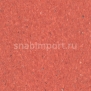 Коммерческий линолеум Armstrong Favorite PUR 726-016 — купить в Москве в интернет-магазине Snabimport