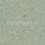 Коммерческий линолеум Armstrong Favorite PUR 726-034 — купить в Москве в интернет-магазине Snabimport