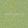 Коммерческий линолеум Armstrong Favorite PUR 726-035 — купить в Москве в интернет-магазине Snabimport