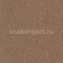 Коммерческий линолеум Armstrong Medintone PUR 885-318 — купить в Москве в интернет-магазине Snabimport