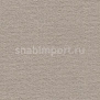 Ковровое покрытие Vorwerk DIMODA 2014 8G53 серый — купить в Москве в интернет-магазине Snabimport