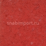 Коммерческий линолеум Tarkett IQ Megalit 3390 523 — купить в Москве в интернет-магазине Snabimport