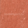 Натуральный линолеум Armstrong Marmorette LPX 121-115 (2,5 мм) — купить в Москве в интернет-магазине Snabimport