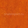 Натуральный линолеум Armstrong Marmorette LPX 121-117 (2,5 мм) — купить в Москве в интернет-магазине Snabimport