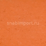 Натуральный линолеум Armstrong Colorette LPX 131-016 (3,2 мм)