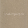 Натуральный линолеум Armstrong Colorette LPX 131-043 (3,2 мм) — купить в Москве в интернет-магазине Snabimport