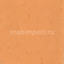 Натуральный линолеум Armstrong Colorette LPX 131-078 (3,2 мм)