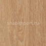 Дизайн плитка Amtico Marine Wood AM5W2549 коричневый — купить в Москве в интернет-магазине Snabimport