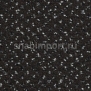 Ковровое покрытие Condor Carpets Apollo 94 черный — купить в Москве в интернет-магазине Snabimport
